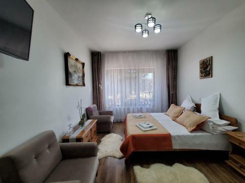 Hostal Pensiunea Mihaita