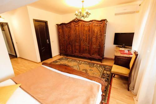 Hotel Pensiunea Iris