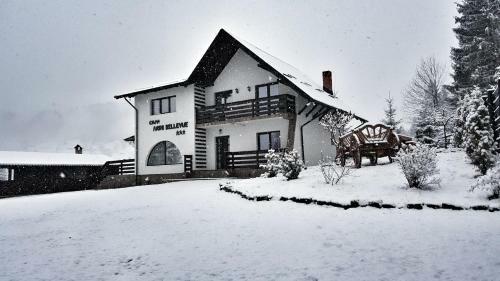 Casa Arini Bellevue