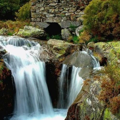 Lodge Ninho Da Av�