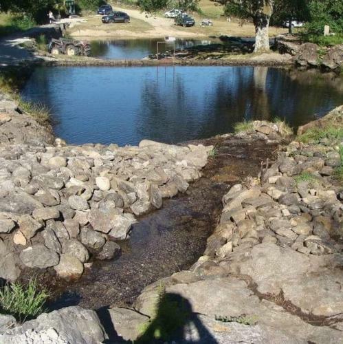 Lodge Ninho Da Av�