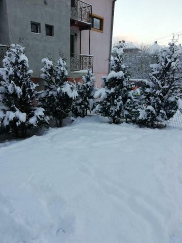 Hostal Apartamentul Ghioceilor