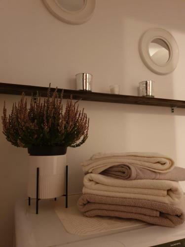 Apartamento Casa Boemia