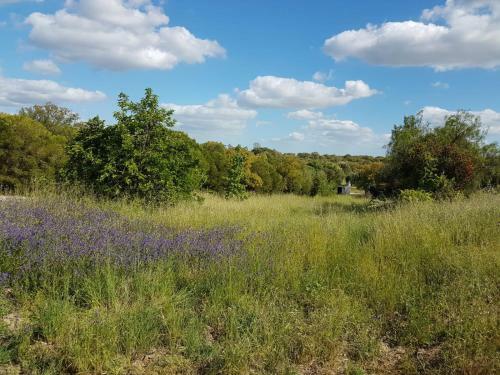 Herdade Do Zambujeiro - Sun And Fun