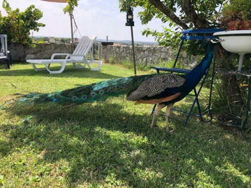 Apartamento Monte De St� Margarida