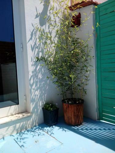 Apartamento Fisherman's Inn Loft