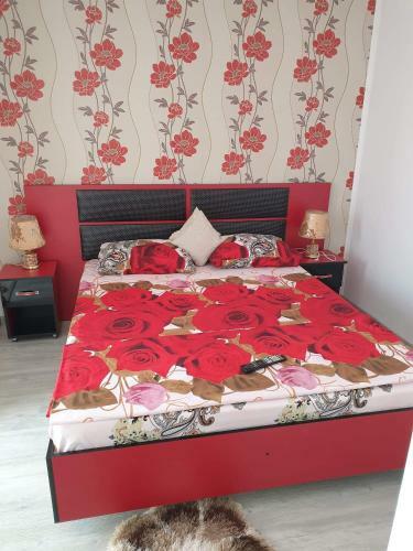 Apartament Alina