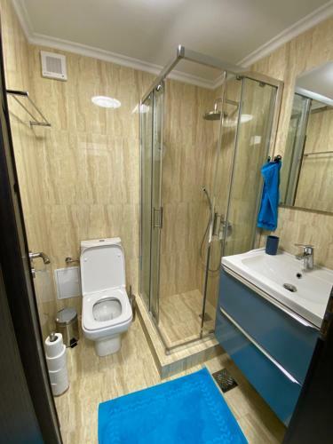 Apartament Tudor - Olimp