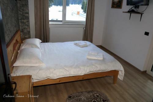 Cabana Ioana