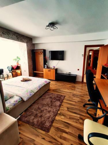 Ultracentral Cathedral Apartament Timisoara