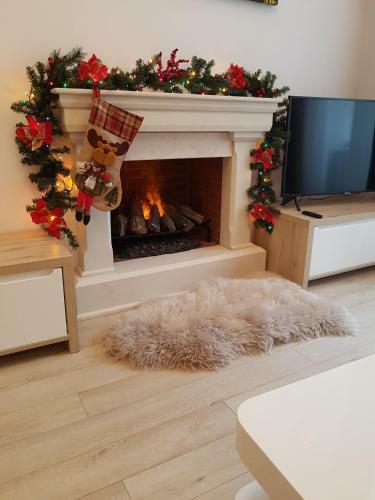 Deluxe Downtown Apartment Timisoara