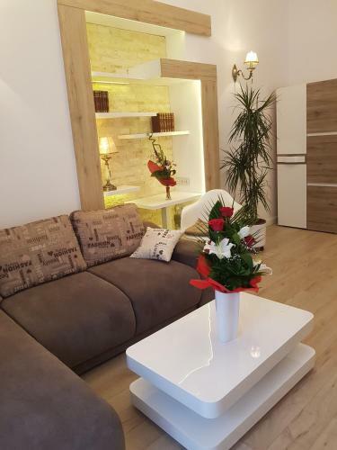 Deluxe Downtown Apartment Timisoara