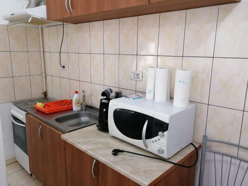Sagului Shopping City Apartment