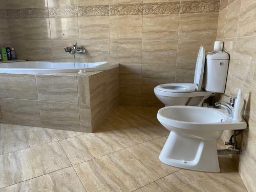 Apartament Modern