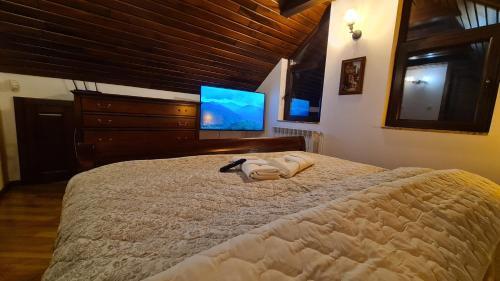 Ole Apartment