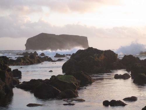 Carpe Diem Azores