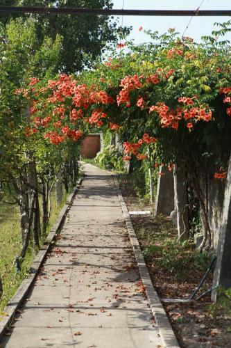 Quinta De Santo Antonio