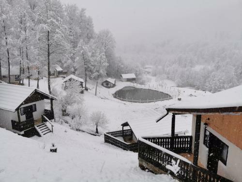 Hostal Satu Muscelean