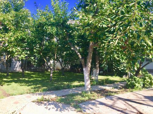 Hostal Vila Ana Trident Costinesti