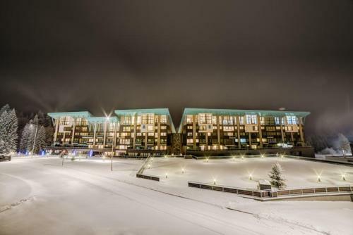 Timber View Apartment Silver Mountain Poiana Brasov