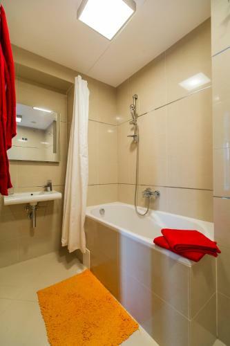 Timber View Apartment Silver Mountain Poiana Brasov