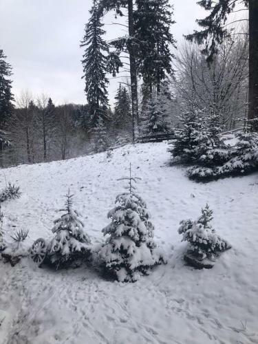 Fairytale Apartment Close To Bradu Ski Slope