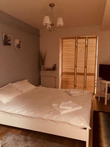 Fairytale Apartment Close To Bradu Ski Slope