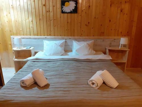 Hostal Poiana Cristian