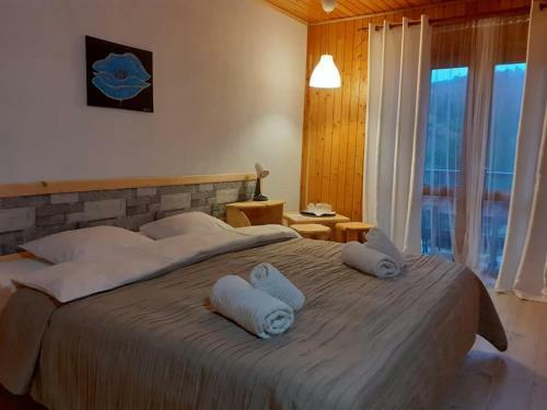 Hostal Poiana Cristian