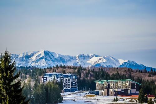 Nature Retreat 2 Bedroom Apartment Silver Mountain