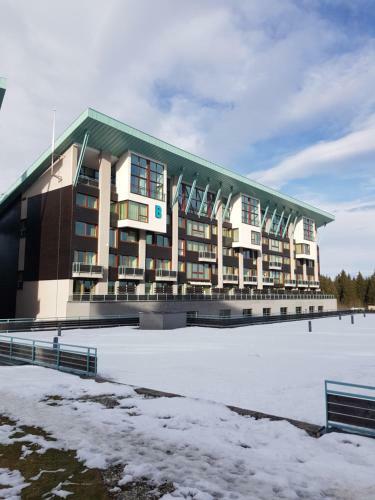 Luxury Apartment Silver Mountain Vue