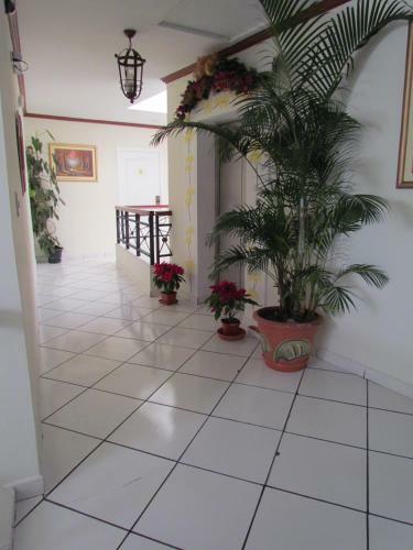 Hotel Villa Serena San Benito