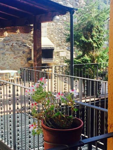 Apartamento Paller Cal Melsio