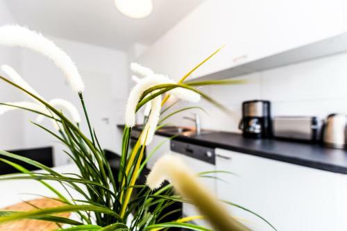 Cityfair Apartments K�ln