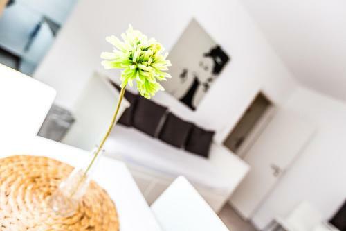 Cityfair Apartments K�ln
