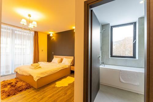 Brasov Welcome Apartments-silver Poiana Brasov