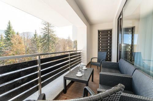 Brasov Welcome Apartments-silver Poiana Brasov