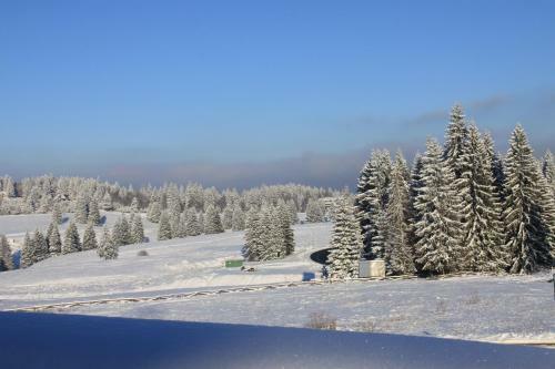 Apartamento Silver Mountain