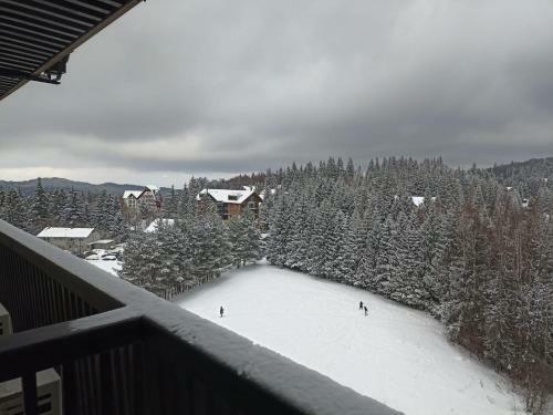 Hotel Alpin - Apartament 704