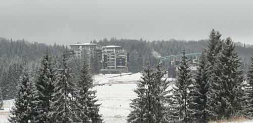 Fabulous Views Silver Mountain 3 Rooms Apartment