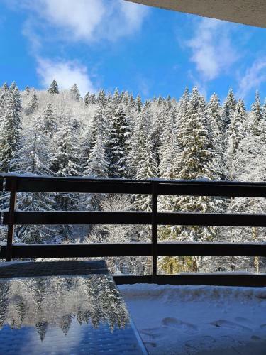 Apartament Ozon Poiana Brasov