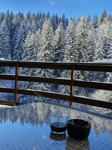 Apartament Ozon Poiana Brasov