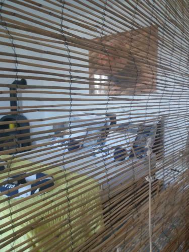 Apartamento Sunflower Room