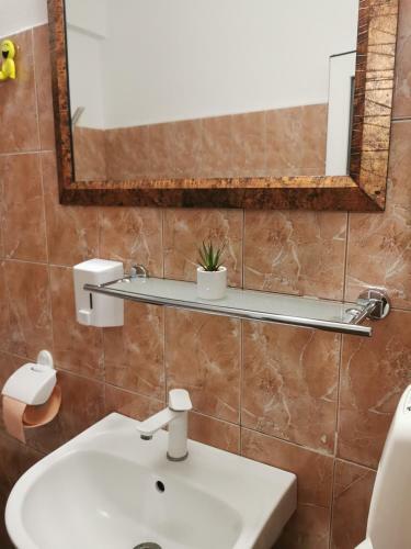 Apartamento Bianca Studio Eforie Nord