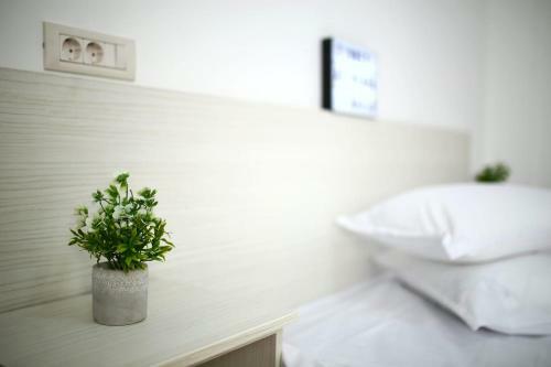Hostal Casa Margo