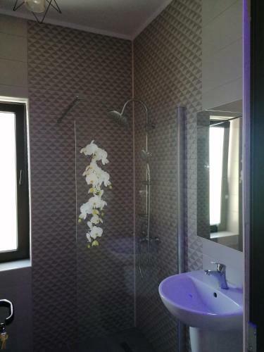 Hostal Casa Constantin