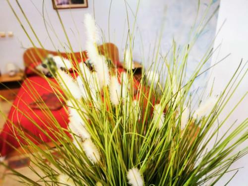 Arka Apartments