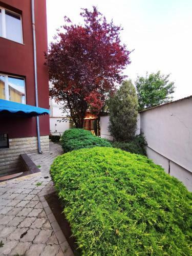 Arka Apartments