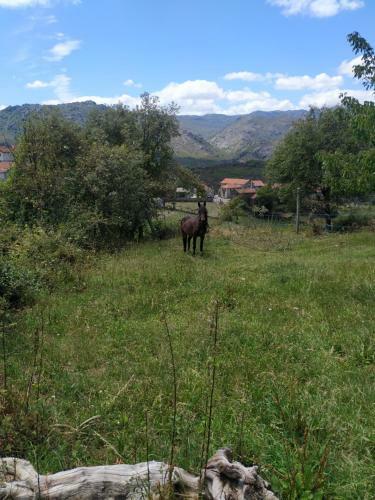 P� Na Aldeia