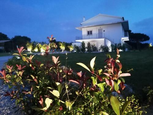 Apartamento P�rola D'�bidos T1